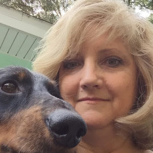 Meet your Posher, Lauranne